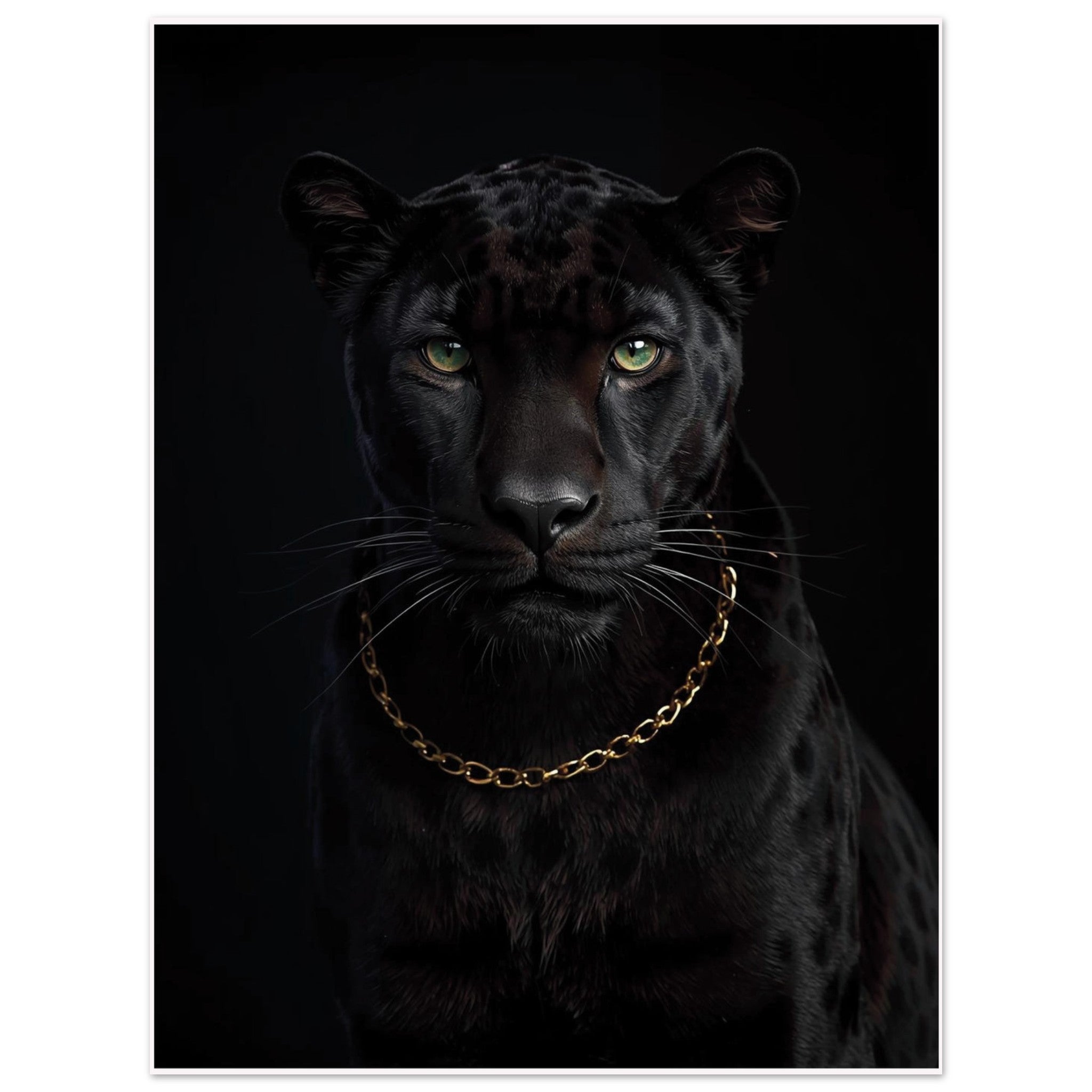 c989a9e5-6811-4407-924f-0dff7b110a33