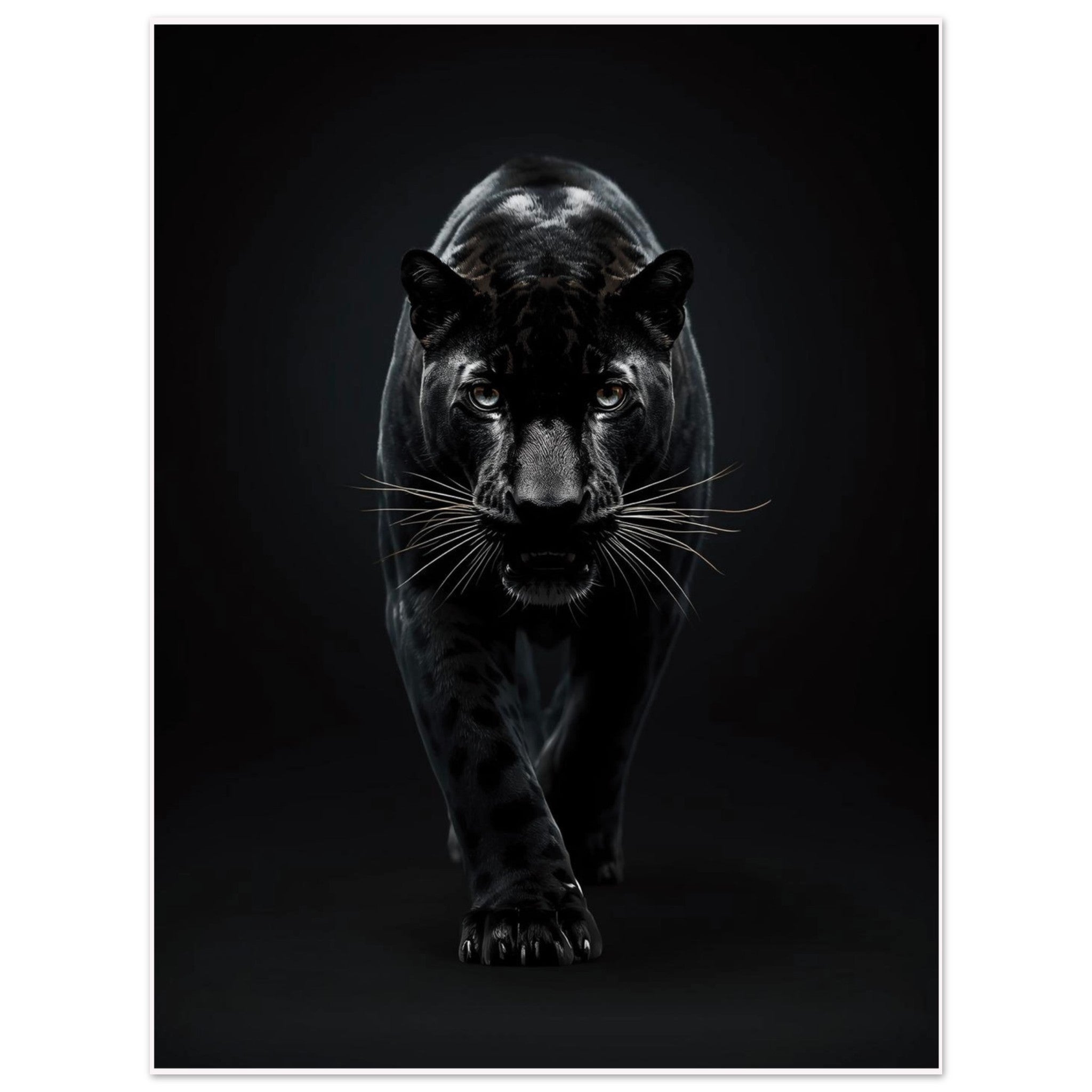 dace7a41-475a-433c-977e-a56fc76590d6